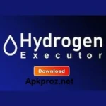 Hydrogen Executor